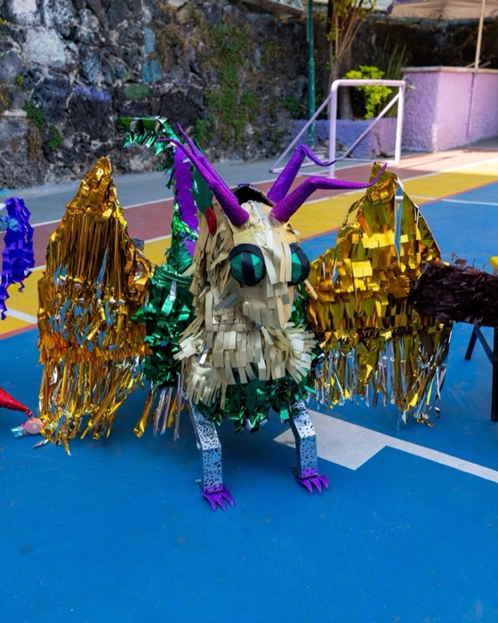 Cosecha en el huerto escolar de Kinder